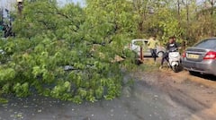 Maharashtra Unseasonal Rain: नागपुरात अवकाळीचं थैमान; भर दुपारी विजांच्या कडकडाटासह पावसाची हजेरी