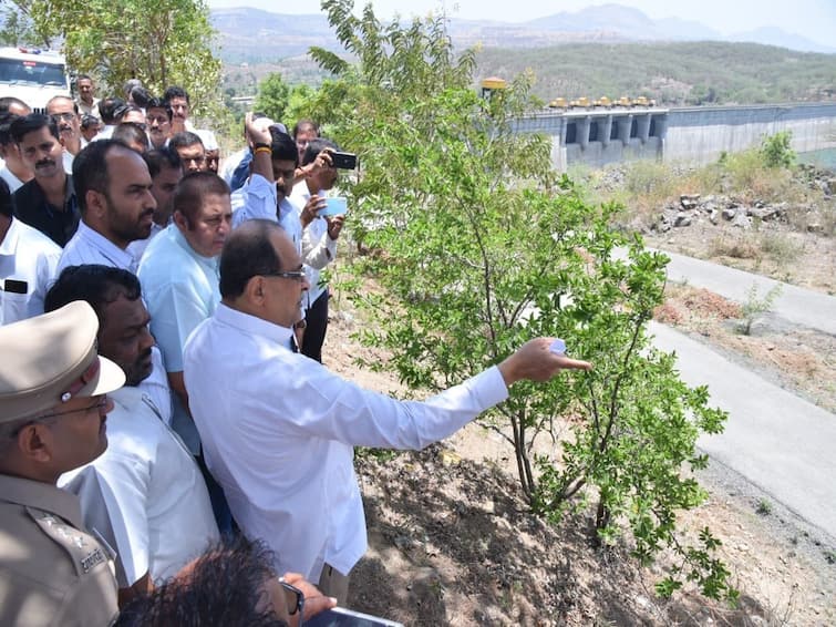 maharashtra news ahmednagar news Water will be released from Nilavande dam to canals says minister vikhe patil Akole Nilwande Dam : निळवंडे धरणातून कालव्यांना सुटणार पाणी, उपमुख्यमंत्र्यांच्या हस्ते 31 मे रोजी पहिली चाचणी 