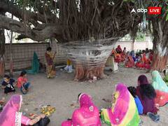Jyeshtha purnima 2023: आज करें इस पेड़ की विशेष पूजा, जीवन में आएगी सुख-शांति और समृद्धि
