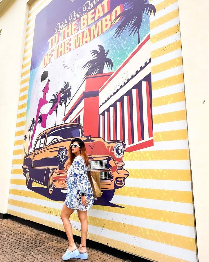 किश्वर बिग बॉस के घर की सैर भी कर आई हैं, सलमान खान के शो के सीजन 9 में एक्ट्रेस नजर आई थीं.