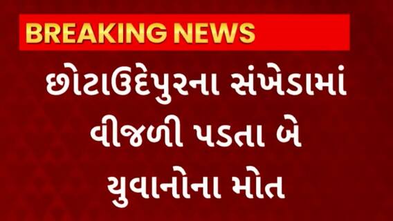 Chota Udaipur : છોટાઉદેપુરના સંખેડામાં વીજળી પડતા બે યુવાનોના મોત