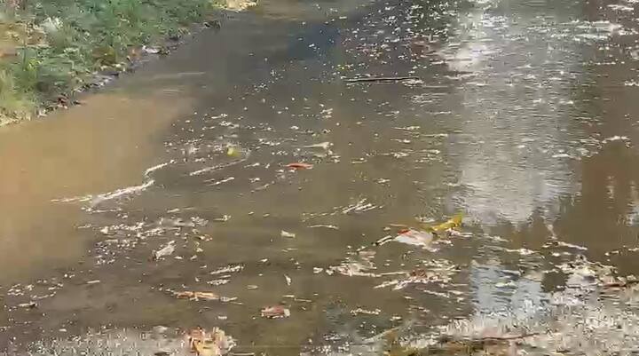 नागपुरात भर उन्हाळ्यात अवकाळी पावसाने धुमशान घातले.शहरात जवळपास सगळीकडेच हलक्या ते मध्यम स्वरूपाच्या सरी कोसळल्या. पावसामुळे जागोजागी पाणी साचलं आहे.