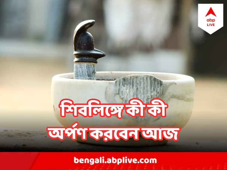 Shiv Puja Offer these things to Shivlinga to get blessings Shiv Puja : সোমবার শিবলিঙ্গে কী কী অর্পণ করলে মনের সব আশাপূরণ হয় ?