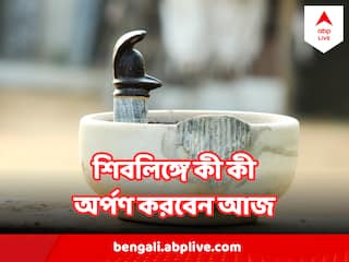 Shiv Puja : সোমবার শিবলিঙ্গে কী কী অর্পণ করলে মনের সব আশাপূরণ হয় ?