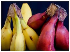 पीले केले के मुकाबले लाल केला है ज्यादा फायदेमंद, जाने इसके गजब के फायदे