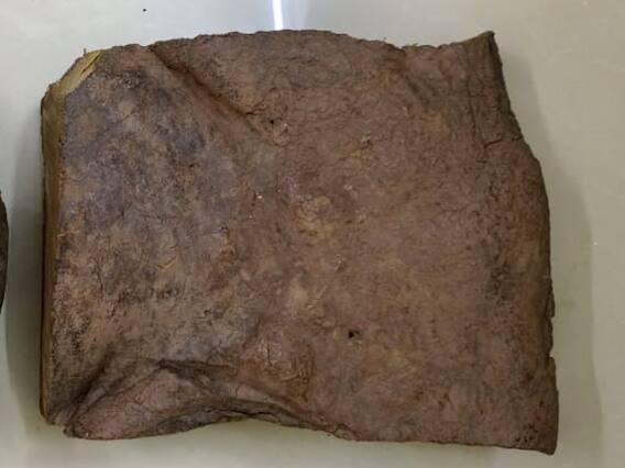 सिंधुदुर्गात व्हेल माशाची उलटी जप्त, किंमत तब्बल 10 कोटी 74 लाख रुपये!