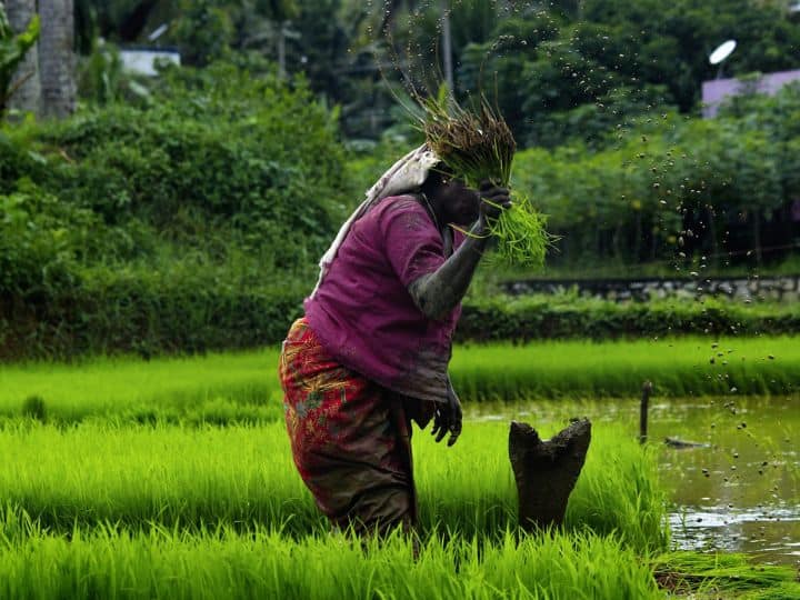 PM Kisan Samman Nidhi Big decision on PM Kisan Yojana 14th installment will be released on this date PM Kisan Samman Nidhi: पीएम किसान सम्मान निधि पर बड़ा फैसला, इस तारीख को जारी हो सकती है 14वीं किस्त!