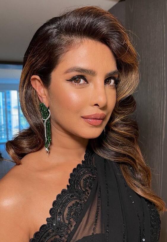 प्रियांकाच्या आगामी प्रोजेक्टची चाहत्यांना आता उत्सुकता आहे.