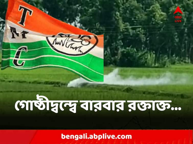 Murshidabad TMC Inner Conflict Several Leader Workers Dead creates Political Controversy TMC Conflict : ৫ মাসে ৭ বার ! তৃণমূলের গোষ্ঠীদ্বন্দ্বে মুর্শিদাবাদে মৃত্য়ু একাধিক দলীয় নেতা-কর্মীর