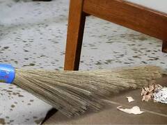 Vastu Tips: ঝাড়ু সংক্রান্ত এই ভুলগুলি করবেন না, মা লক্ষ্মীর অসন্তোষে বাড়তে পারে অর্থাভাব