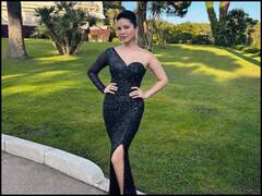 कितनी दौलत की मालकिन हैं सनी लियोन? जानें एक्ट्रेस की नेटवर्थ के बारे में सबकुछ