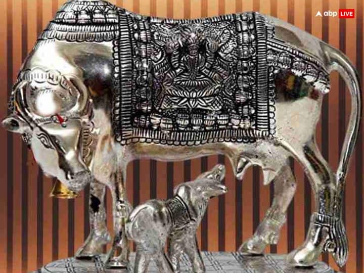 निर्जला एकादशी का व्रत सुख-सौभाग्य में वृद्धि करने वाला माना जाता है. निर्जला एकादशी पर कामधेनु गाय की मूर्ति घर लाने से सुख का वास होता है. नकारात्मक ऊर्जा नष्ट हो जाती है. संतान प्राप्ति के लिए रोजाना की इसकी पूजा करनी चाहिए.