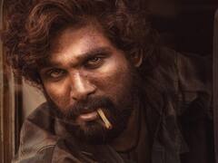 Pushpa 2 के अलावा इन फिल्मों से थिएटर्स में तहलका मचाएंगे Allu Arjun, यहां देखिए एक्टर की फिल्मों की लिस्ट