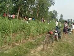 पीलीभीत में खेत में काम कर रहे किसान पर बाघ ने किया हमला, मौके पर ही हुई मौत