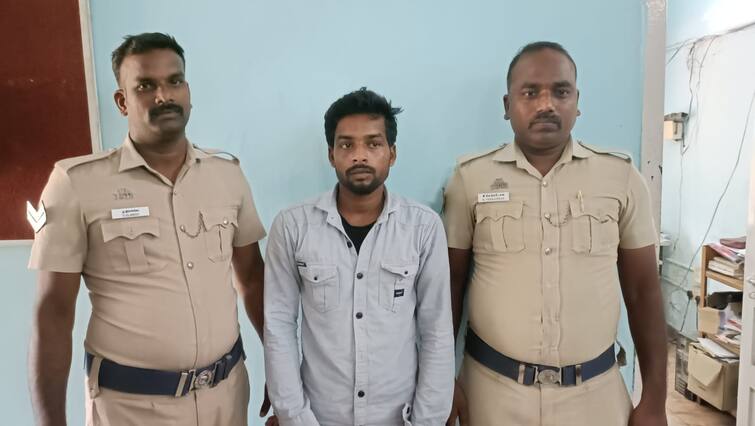 Panruti Robbery Case Thief Who Steals Only Half the Quantity Has Been Arrested TNN Panruti Robbery Case: 