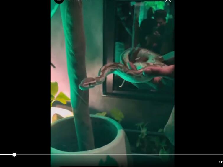 WATCH: Forest Dept, Police Launch Probe After Hyderabad Bar Puts Exotic Animals On Display WATCH: Forest Dept, Police Launch Probe After Hyderabad Bar Puts Exotic Animals On Display