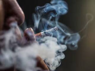 No Tobacco Day: કેમ લોકો નથી છોડી શકતા તમાકુ, જાણો એવું તે શું હોય છે અને કેમ લાગે છે લત