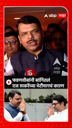 Devendra Fadnavis on Raj Thackeray : फडणवीसांनी सांगितलं राज ठाकरेंच्या भेटीमागचं कारण