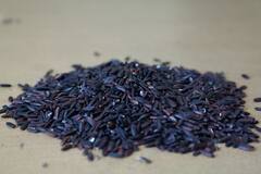 Black Rice : मधुमेह असणाऱ्या रुग्णांसाठी काळा तांदूळ गुणकारी; जाणून घ्या फायदे...