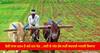 Agriculture News: ਤੇਜ਼ੀ ਨਾਲ ਖ਼ਤਮ ਹੋ ਰਹੇ ਖੇਤ…ਸਦੀ ਦੇ ਅੰਤ ਤੱਕ ਨਹੀਂ ਬਚਣਗੇ ਅਸਲੀ ਕਿਸਾਨ, ਪੜ੍ਹੋ ਰਿਪੋਰਟ