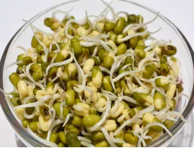 sprouts are not healthy all the time know who should not eat it health tips Health Tips: ਹਰ ਕਿਸੇ ਲਈ ਫਾਇਦੇਮੰਦ ਨਹੀਂ ਹੁੰਦੇ Sprouts, ਕਈਆਂ ਲਈ ਬਣ ਜਾਂਦੇ ਨੇ ਘਾਟੇ ਦਾ ਸੌਦਾ