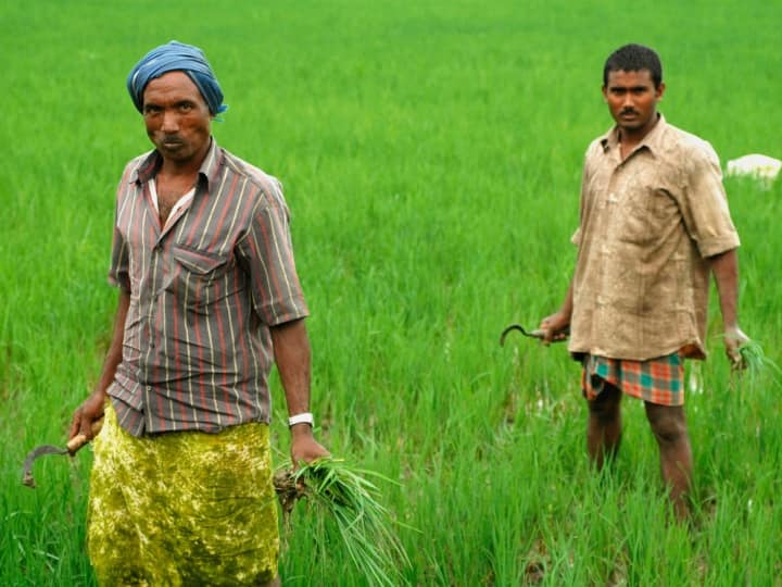 PM Kisan Samman Nidhi Yojana  number of beneficiaries decreasing after every installment PM Kisan Yojana: हर किस्त के बाद काम हो रही पीएम किसान योजना के लाभार्थियों की संख्या, शुरू की गई ये जांच