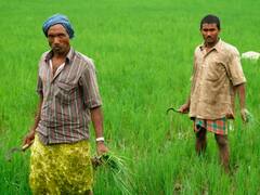 PM Kisan Yojana: हर किस्त के बाद काम हो रही पीएम किसान योजना के लाभार्थियों की संख्या, शुरू की गई ये जांच