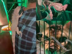 హైదరాబాద్‌లోని ఓ పబ్‌ వైల్డ్ ఆలోచనపై విమర్శలు- అధికారులు, నెటిజన్లు - యజమాని అరెస్టు