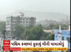 Kutch Mini Cyclone | પશ્ચિમ કચ્છમાં ફૂંકાયું મિનિ વાવાઝોડું, લોકોને કેવી પડી હાલાકી?