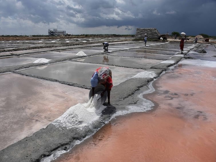 Due to summer rains salt is being dissolved in the beds in Athirampattanam TNN Thanjavur: கோடைமழையால் அதிராம்பட்டினத்தில் பாத்திகளில் உப்பு கரைந்து வீணாகும் நிலை