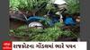 Gujarat Rain : ગોંડલ તાલુકાના દાળિયા ગમે ભારે પવનના કારણે વૃક્ષ ધરાશાયી થતા ટ્રેક્ટરને થયું નુકસાન