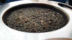 Black Rice : मधुमेह असणाऱ्या रुग्णांसाठी काळा तांदूळ गुणकारी; जाणून घ्या फायदे...