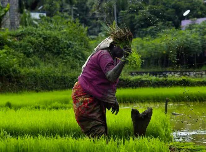 pm kisan samman nidhi big decision on pm kisan yojana 14th installment will be released on this date PM Kisan Samman Nidhi: PM ਕਿਸਾਨ ਸਨਮਾਨ ਨਿਧੀ 'ਤੇ ਵੱਡਾ ਫੈਸਲਾ, ਇਸ ਤਰੀਕ ਨੂੰ ਜਾਰੀ ਹੋ ਸਕਦੀ ਹੈ 14ਵੀਂ ਕਿਸ਼ਤ!