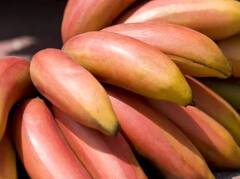 Red Banana Benefits : पिवळ्या केळ्यांपेक्षा लाल केळ्यांमध्ये पोषणतत्त्वे जास्त, जाणून घ्या लाल केळी खाण्याचे फायदे!