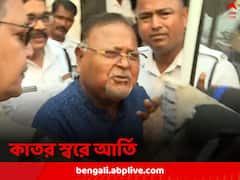 ‘৩০০ দিনের বেশি জেলে, মরে গেলে বিচার করবেন’? আদালতে গলা ধরে এল পার্থর