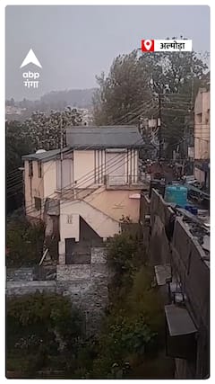 Almora में हुई झमाझम बारिश, मौसम विभाग की भविष्यवाणी हुई सही साबित | Shorts