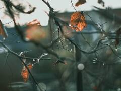 भारत के मौसम को ये क्या हो रहा? हर दिन बदल जा रहा है! पहले से क्यों नहीं लग पा रहा पता