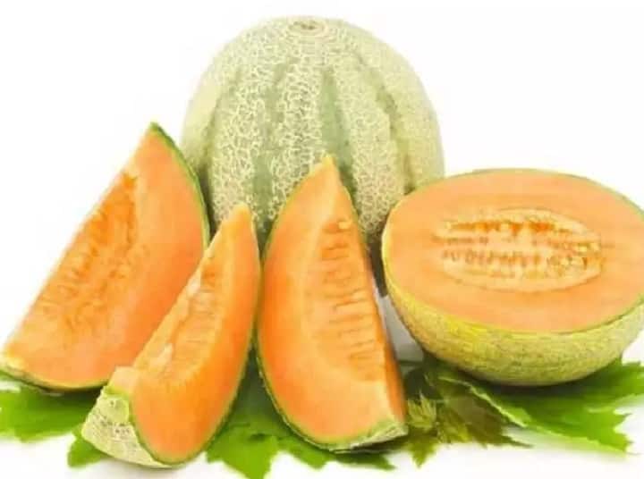 Better Digestion To Good Heart Health, 6 Health Benefits Of Sun Melon Sun Melon : இதயம் முதல் ஜீரண மண்டல நலன் வரை: முலாம்பழம் செய்யும் மாயம்..