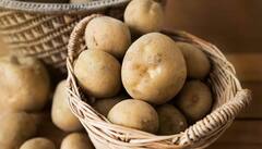 Skin Care: स्किन टॅनिंगमुळे त्रस्त आहात? कच्चा बटाटा ठरेल लाभदायी; 'अशा' प्रकारे करा वापर