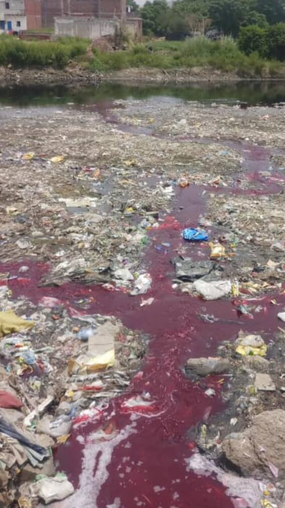 Hindon नदी का रंग लाल क्यों हो गया है?