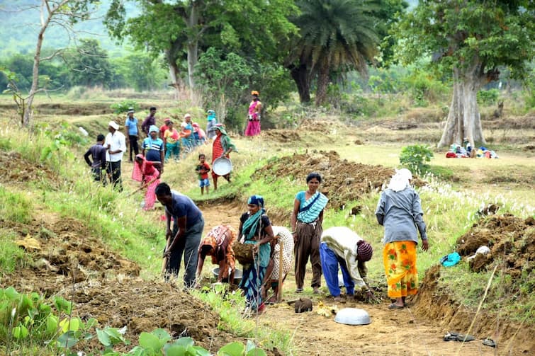 Bhandara district first in mnrega work and gave employment to more than 80 thousand laborers Bhandara: मनरेगाच्या कामात भंडारा राज्यात प्रथम! 80 हजारांहून अधिक मजुरांच्या हाताला रोजगार