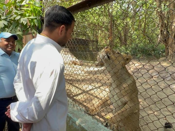 बिहार में गर्मी का सितम जारी है. गर्मी से इंसान ही नहीं पशु-पक्षी भी परेशान हैं. ऐसे में पशु-पक्षियों का हाल-चाल जानने राज्य के वन मंत्री तेज प्रताप बुधवार को पटना के चिड़ियाघर पहुंचे.