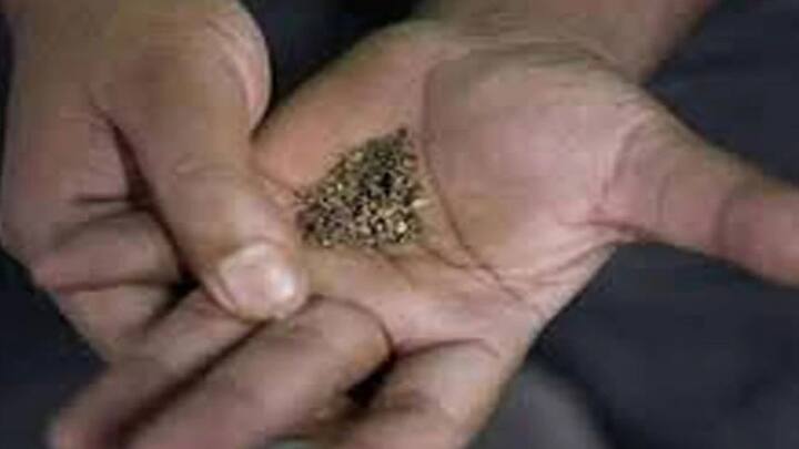 જો આપ ખરા અર્થમાં તમાકુ છોડવા માંગો છો તો એકદમ જ બંધ ક્યારેય ન કરો. ધીરે ધીરે તેની માત્રા ઘટાડતા જાવ અને ક્રમશ બંધ કરી દો આ રીતે કરવાથી આપ હંમેશા માટે તમાકાનું સેવન છોડી શકશો