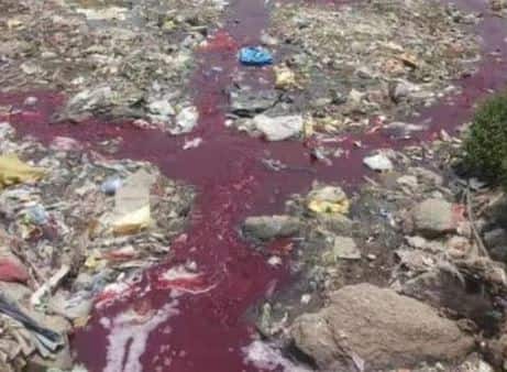 Hindon ਨਦੀ ਦਾ ਰੰਗ ਲਾਲ ਕਿਉਂ ਹੋ ਗਿਆ ਹੈ?