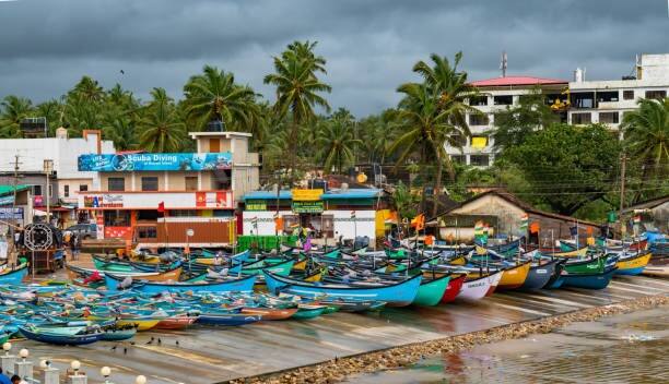 Fisheries: पावसाळी हंगामामुळे दोन महिन्यांसाठी खोल समुद्रातील मासेमारी दोन महिन्यांसाठी बंद राहणार आहे.