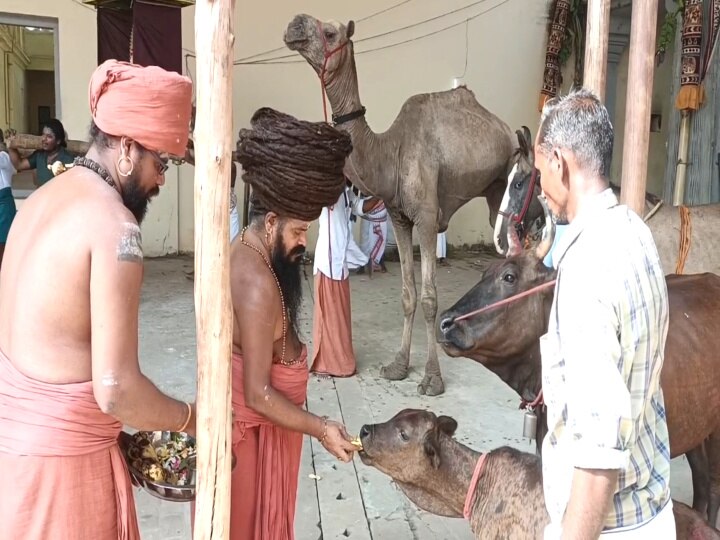 ஆன்மீகம்: தருமபுரம் ஆதீனத்தில் மீண்டும் பட்டணப் பிரவேசம் -  ஞானபுரீஸ்வரர் கோயிலில் கொடியேற்றம்