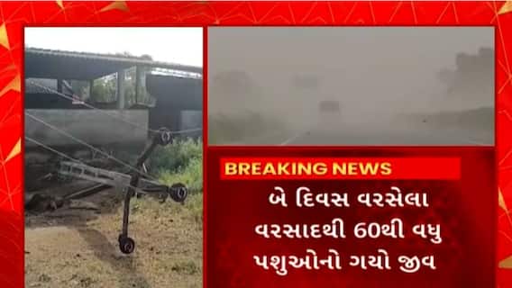 Gujarat Rain : પવન સાથે વરસેલા વરસાદે રાજ્યમાં સર્જી તારાજી