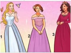 IQ test: అర నిమిషంలో ఈ ముగ్గురు యువరాణుల్లో గ్రహాంతరవాసి ఎవరో కనిపెట్టండి