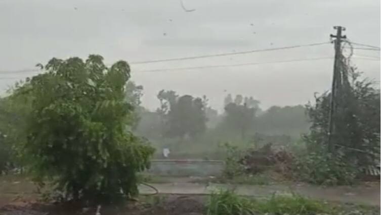 The unseasonal rains  may be falls today in shaurashtra, kutch north direction in Gujarat Gujarat Weather:રાજ્યમાં કમોસમી વરસાદનું સંકટ યથાવત, આજે પણ આ વિસ્તારમાં ભારે પવન સાથે વરસાદની આગાહી