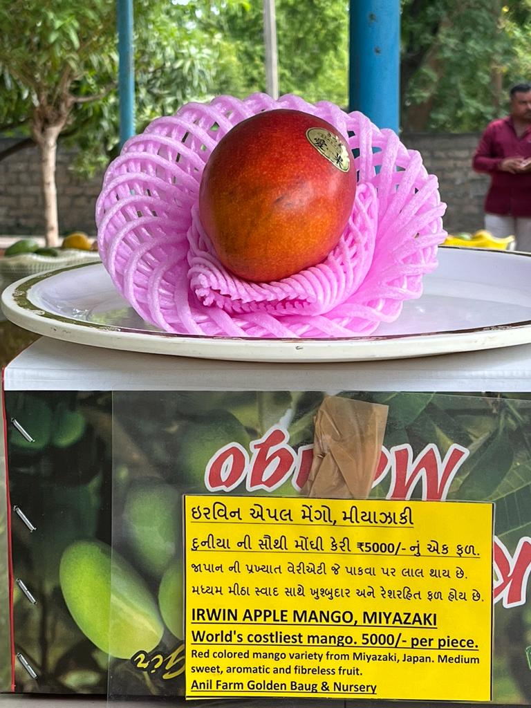 Mango: જાપાનની ઈરવિન એપલ મિયાઝાકી નામની કેરીની કિંમત છે અધધ.... જાણો શું છે ખાસિયત